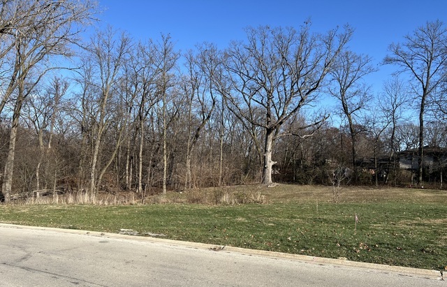 16961 Forest Glen Drive, Tinley Park, IL 60477
