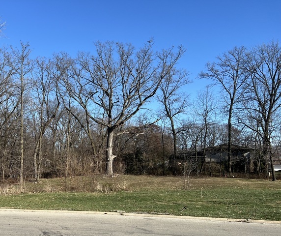 16961 Forest Glen Drive, Tinley Park, IL 60477