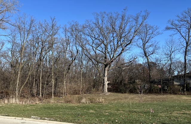 16961 Forest Glen Drive, Tinley Park, IL 60477
