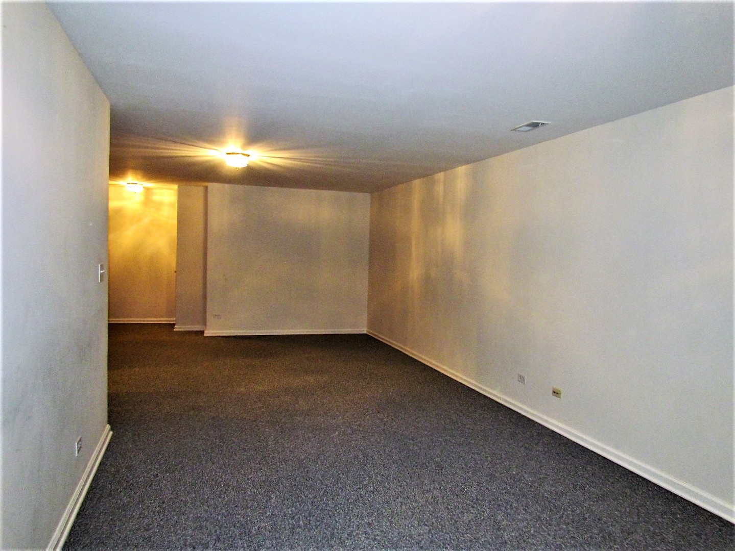 1596 N Saint Marks Place #1596, Palatine, IL 60067