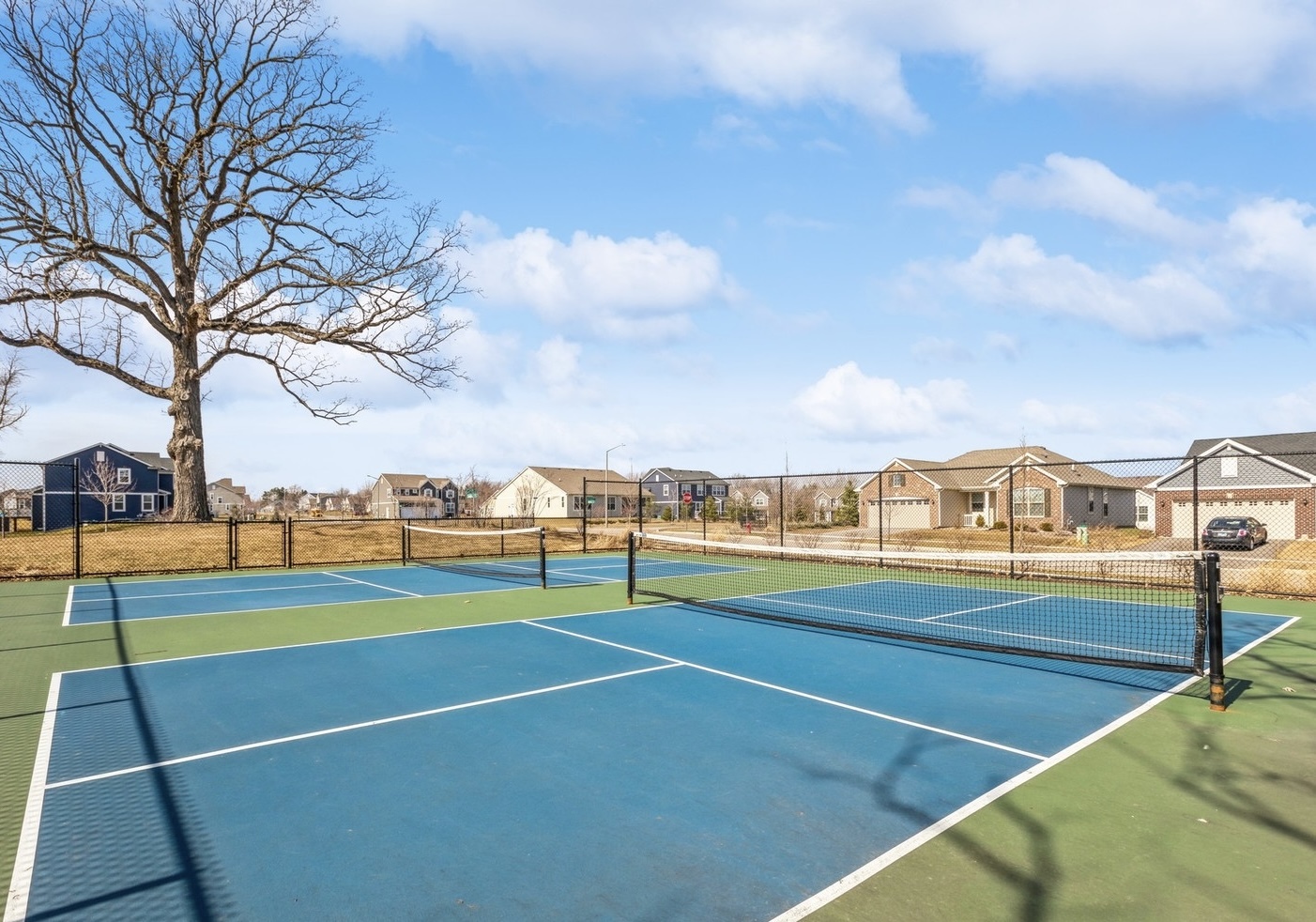 1101 Black Cherry Drive, Crystal Lake, IL 60012