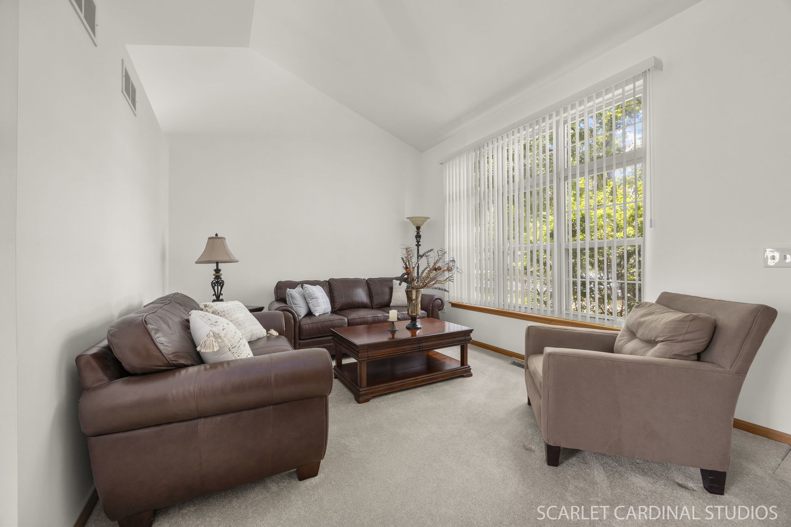 664 Birchwood Drive, Bolingbrook, IL 60490