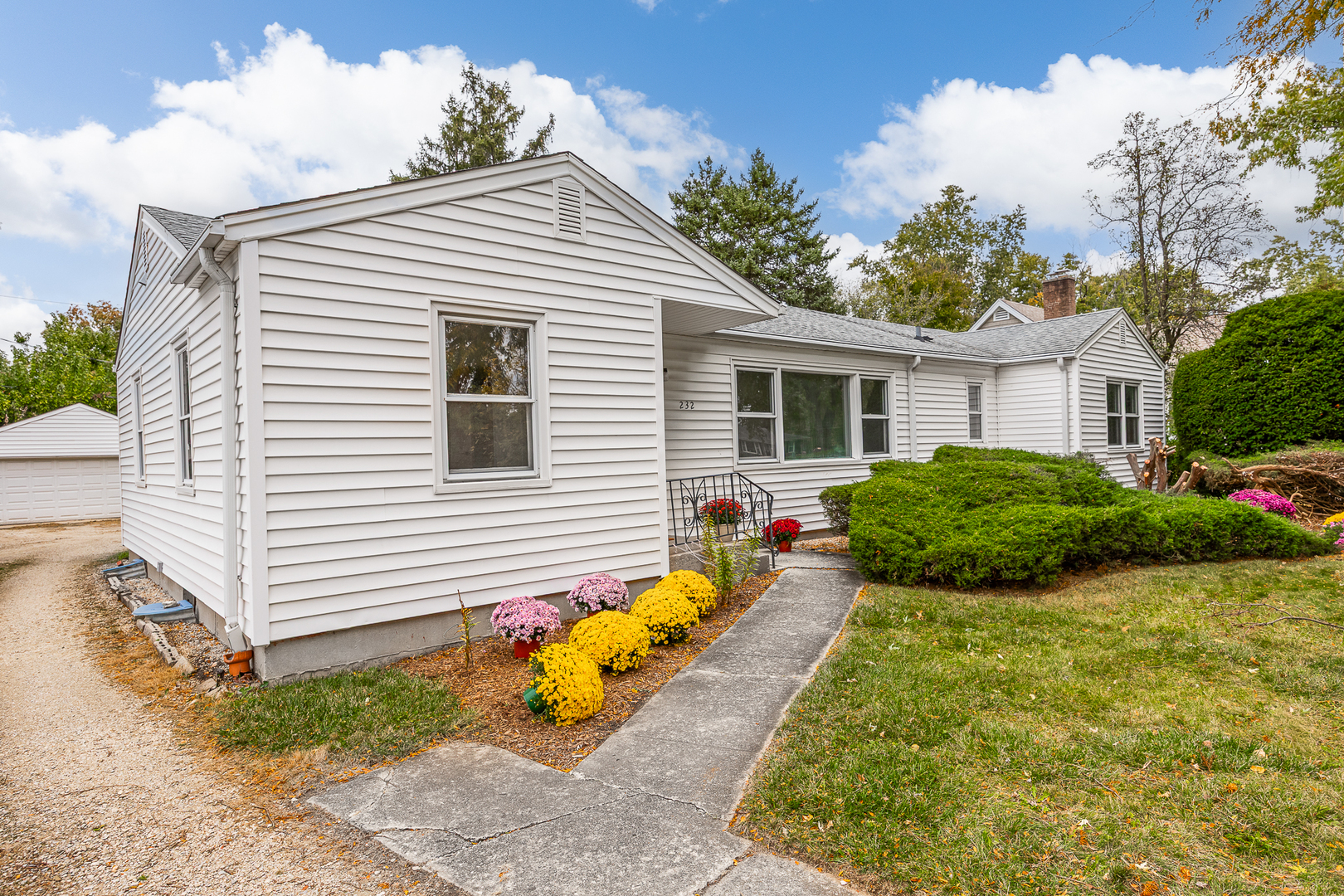 232 55th Street, Downers Grove, IL 60515