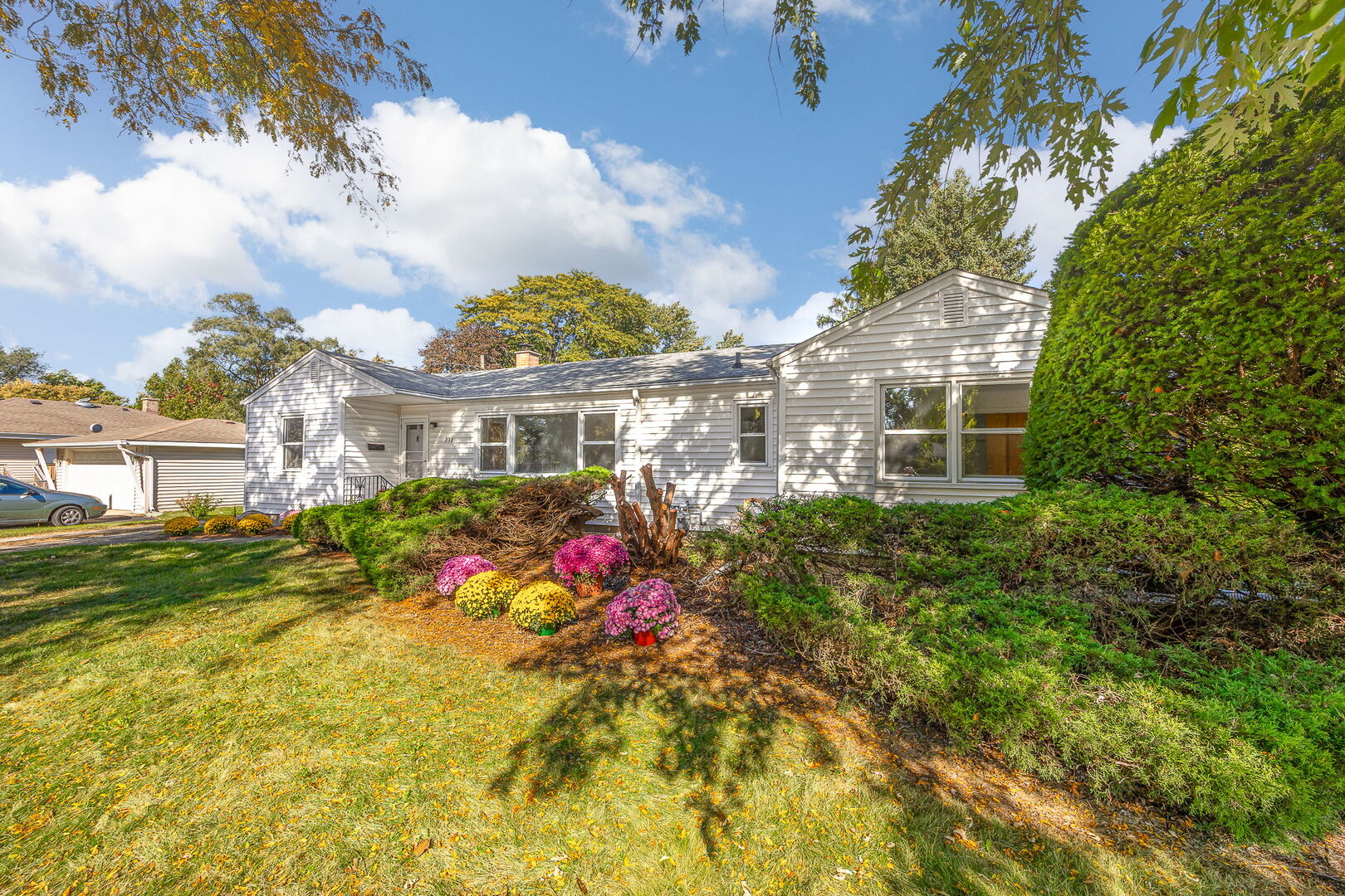 232 55th Street, Downers Grove, IL 60515