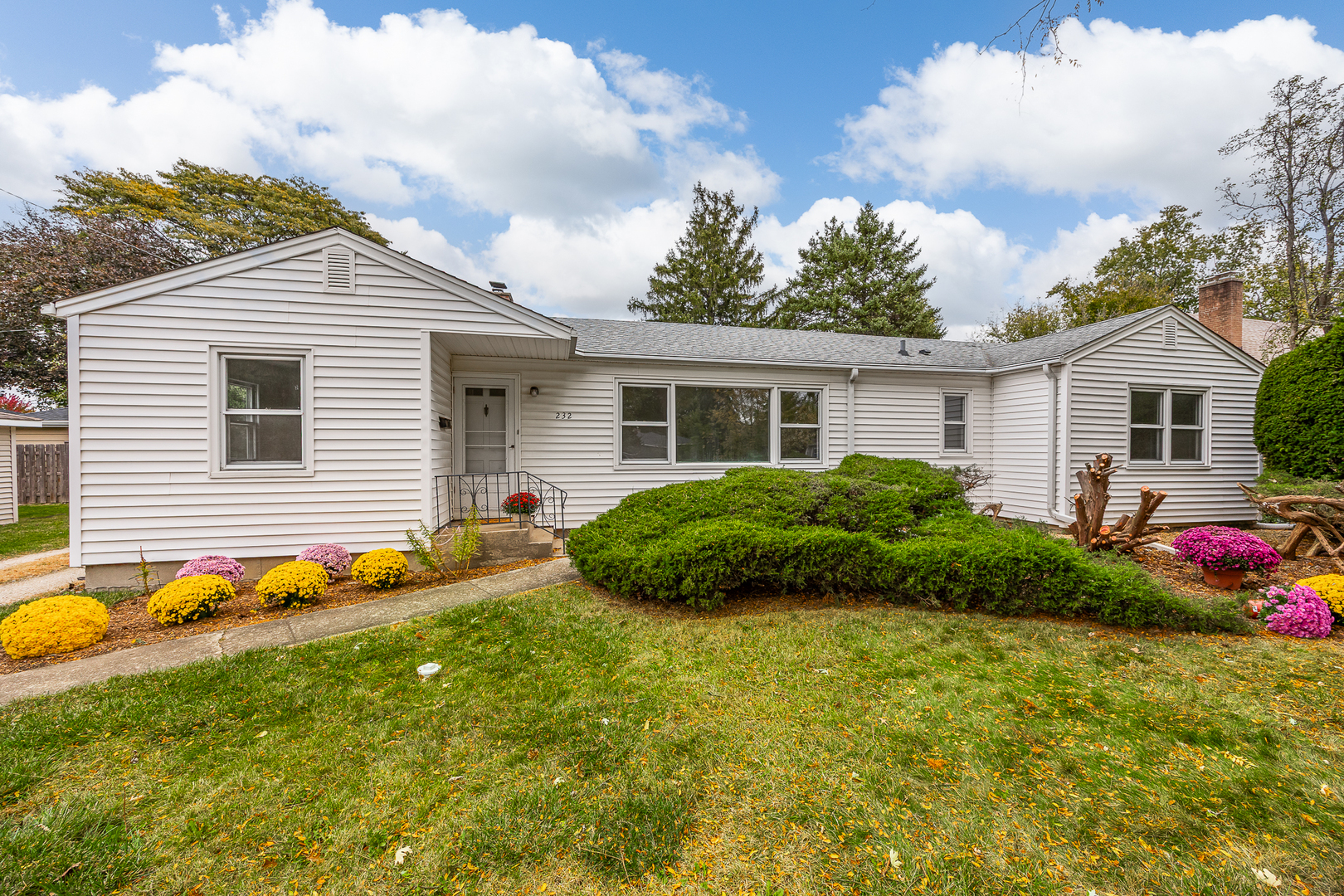 232 55th Street, Downers Grove, IL 60515
