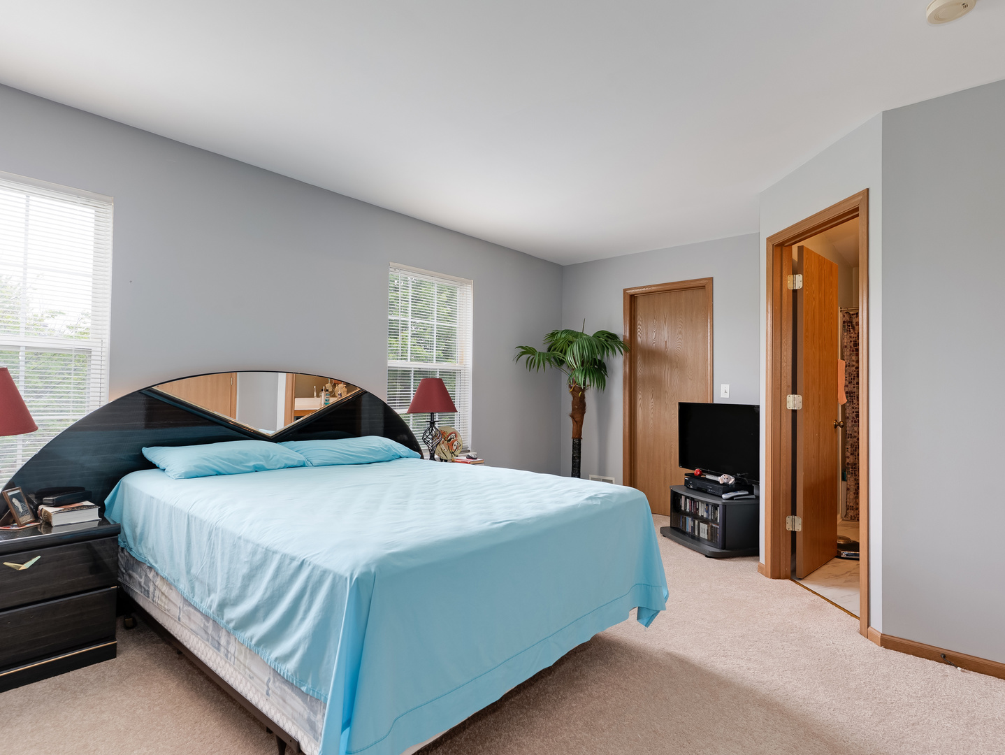 2809 Alameda Court, Naperville, IL 60564