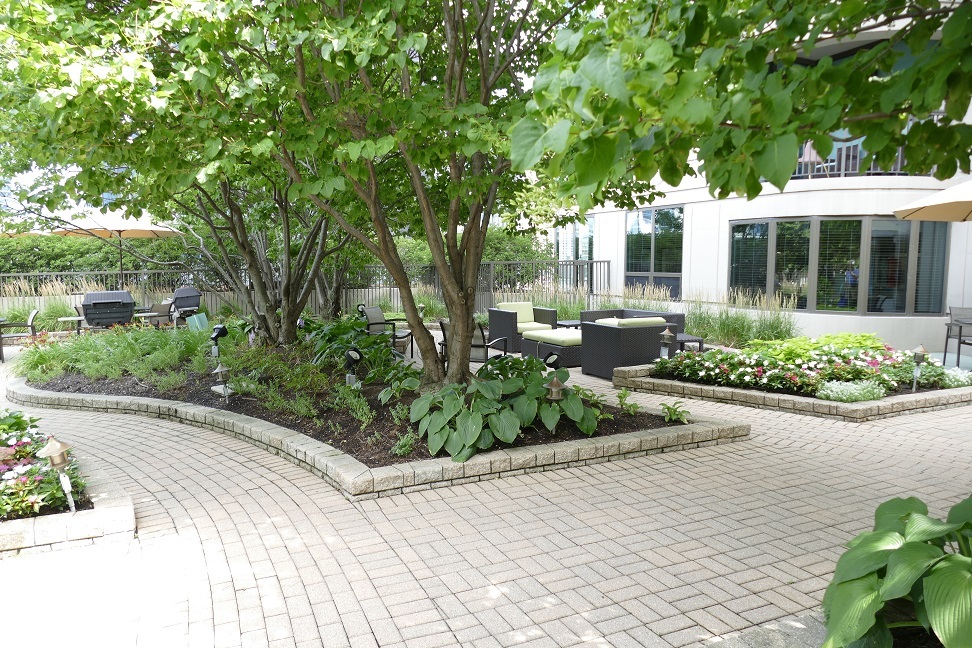 400 N Lasalle Drive #3803, Chicago, IL 60654