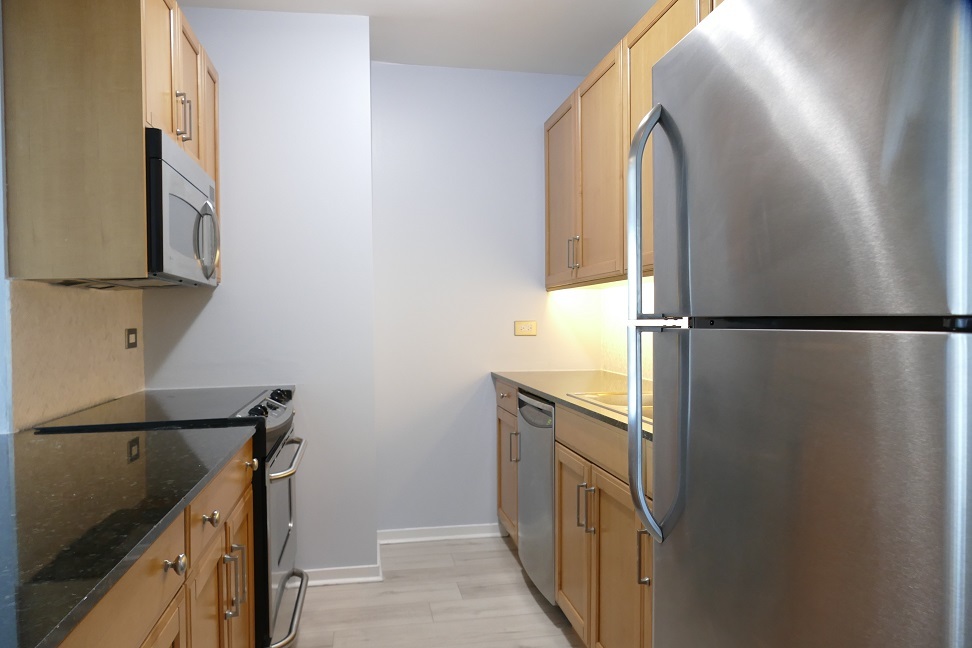 400 N Lasalle Drive #3803, Chicago, IL 60654