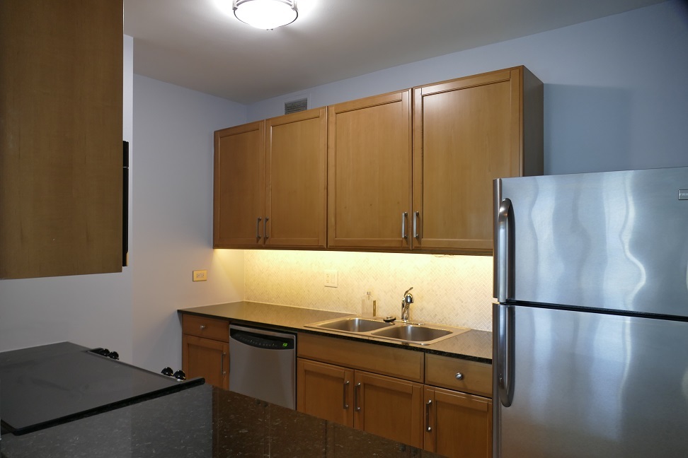 400 N Lasalle Drive #3803, Chicago, IL 60654