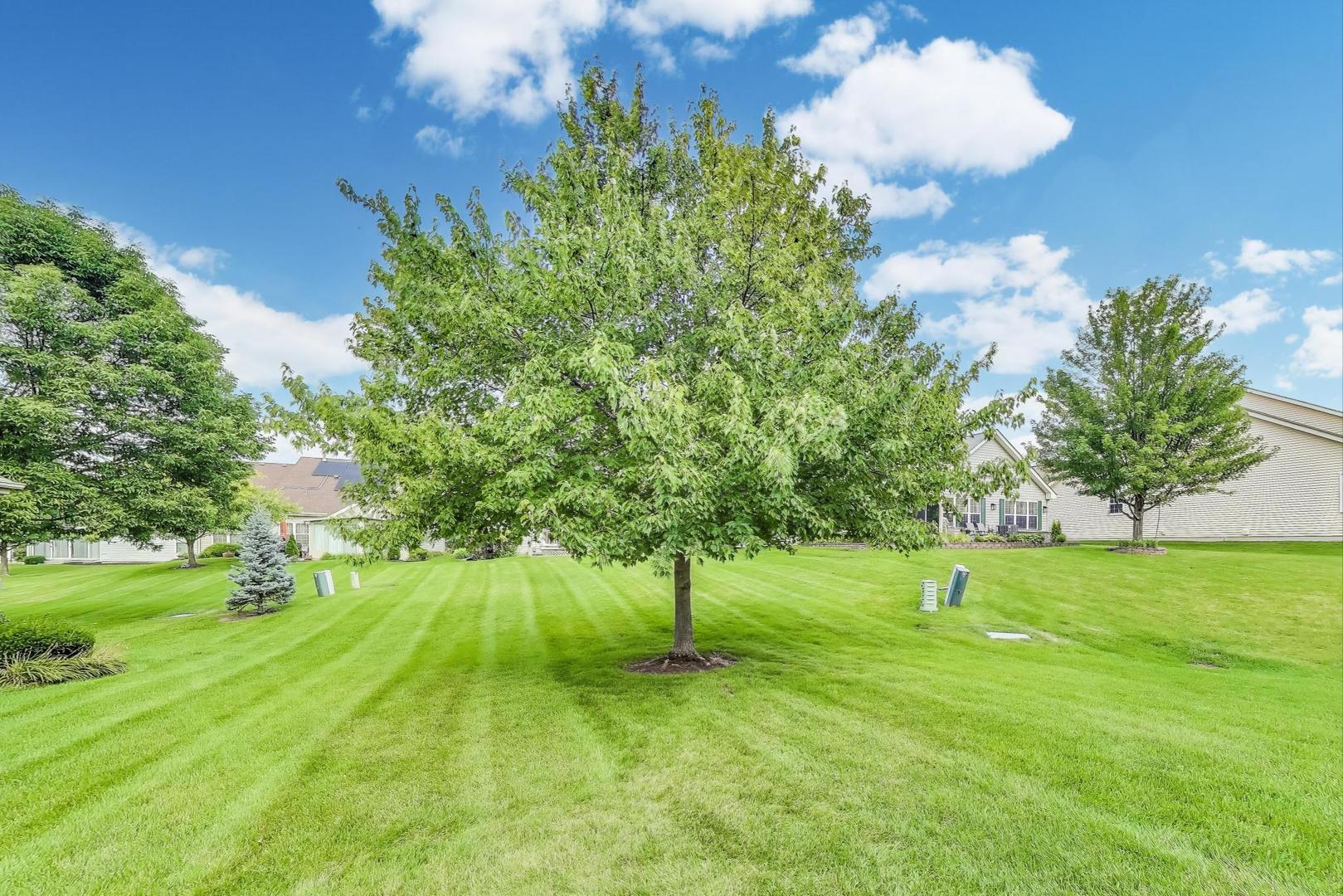 13453 S Tall Pines Lane, Plainfield, IL 60544