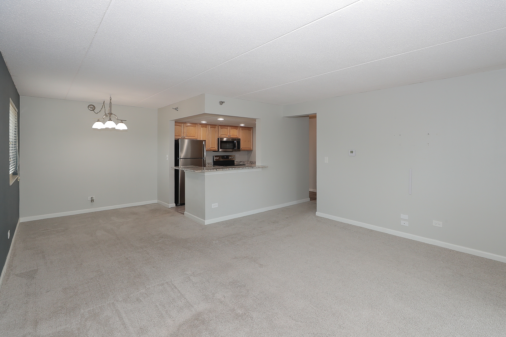 1 Bloomingdale Place #301, Bloomingdale, IL 60108