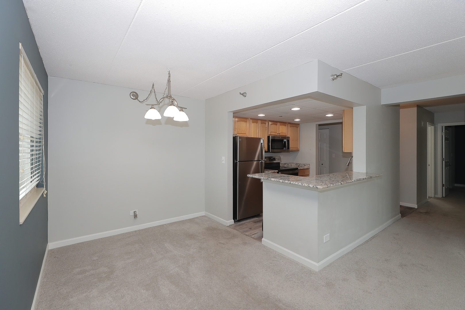 1 Bloomingdale Place #301, Bloomingdale, IL 60108