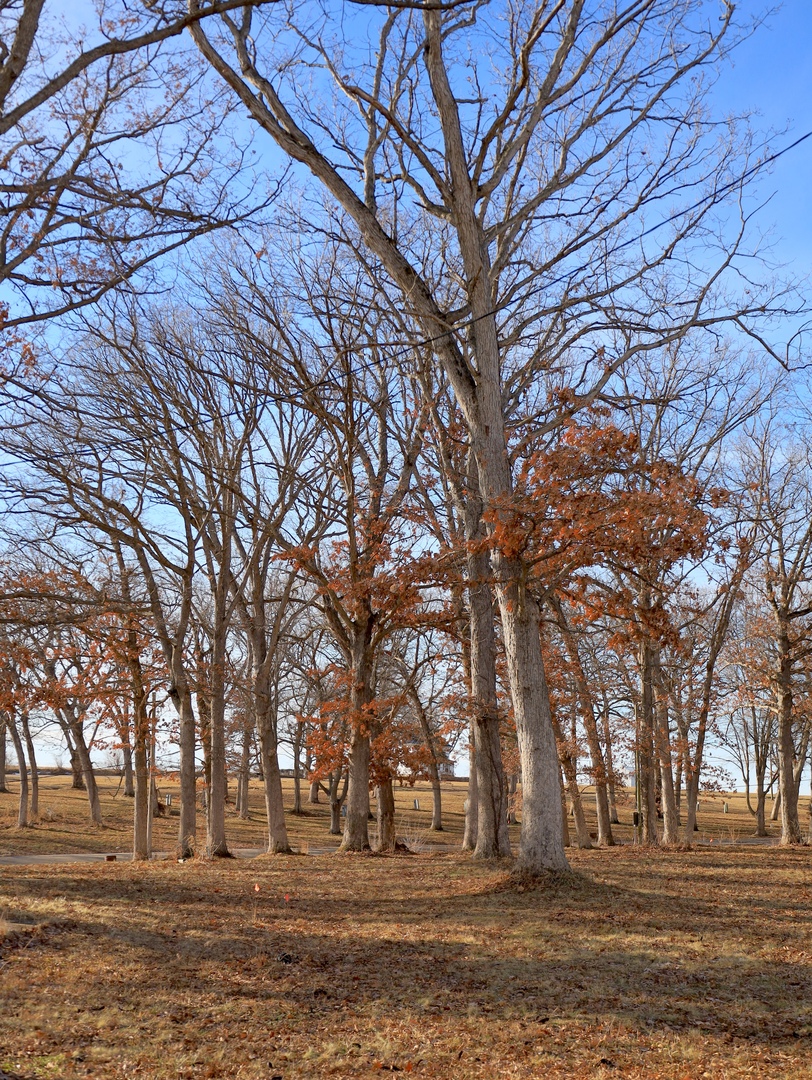 4500 E. River Road, Ridott, IL 61067