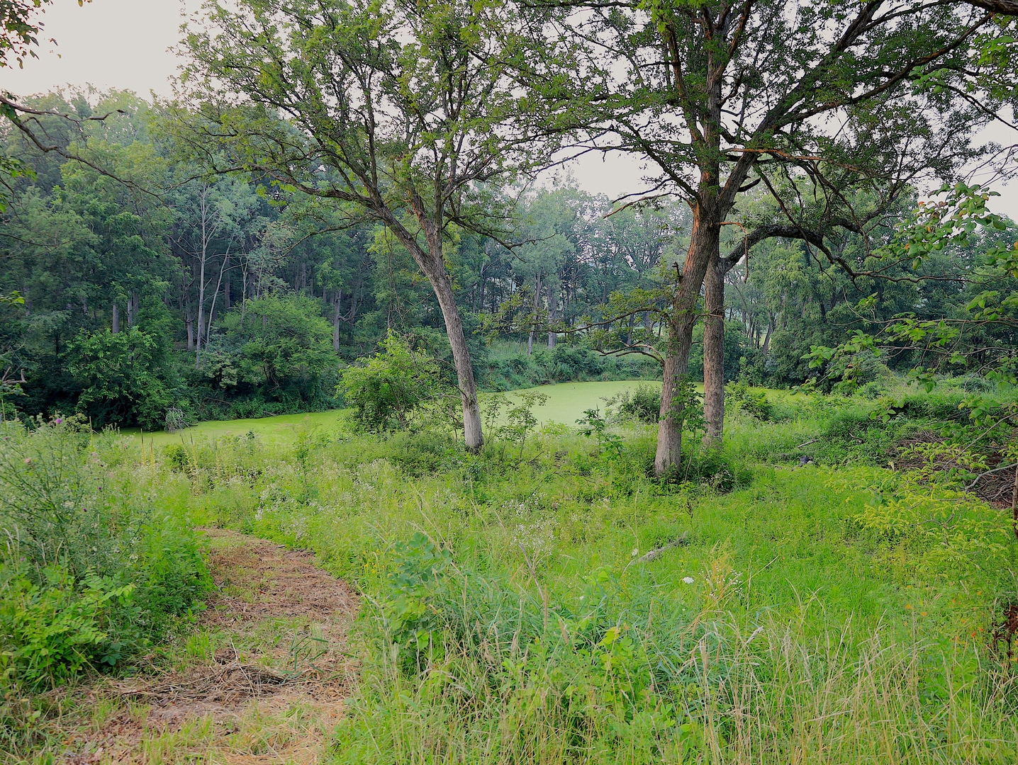 4500 E. River Road, Ridott, IL 61067