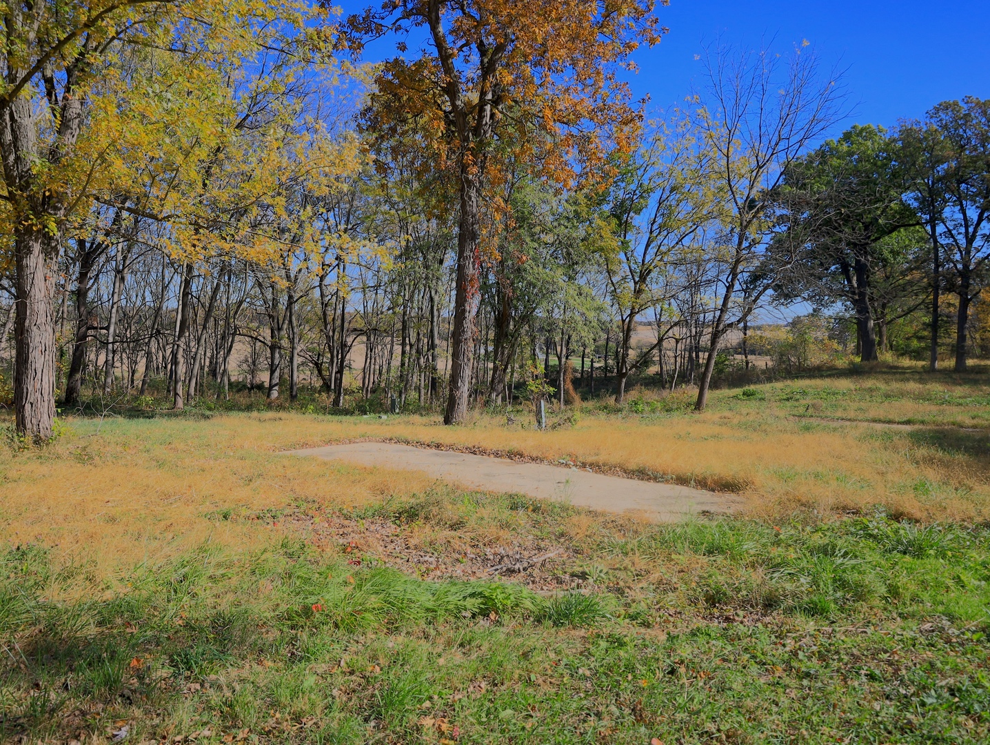 4500 E. River Road, Ridott, IL 61067