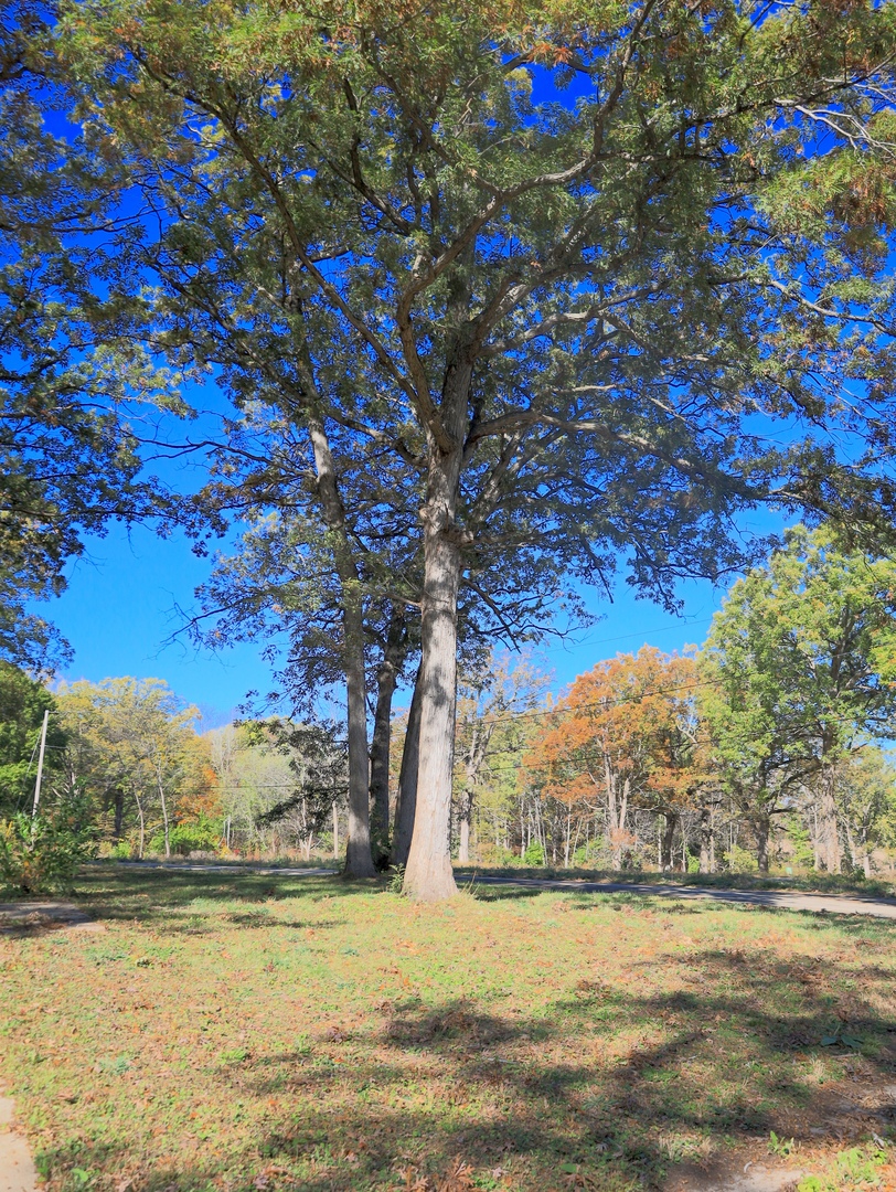 4500 E. River Road, Ridott, IL 61067