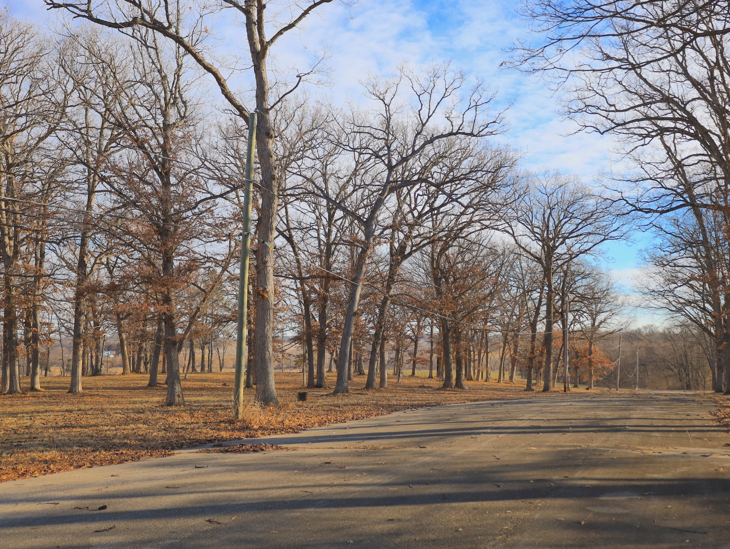 4500 E. River Road, Ridott, IL 61067