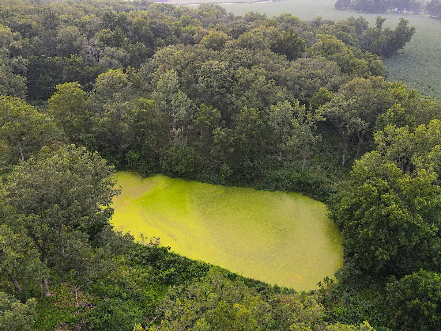 4500 E. River Road, Ridott, IL 61067