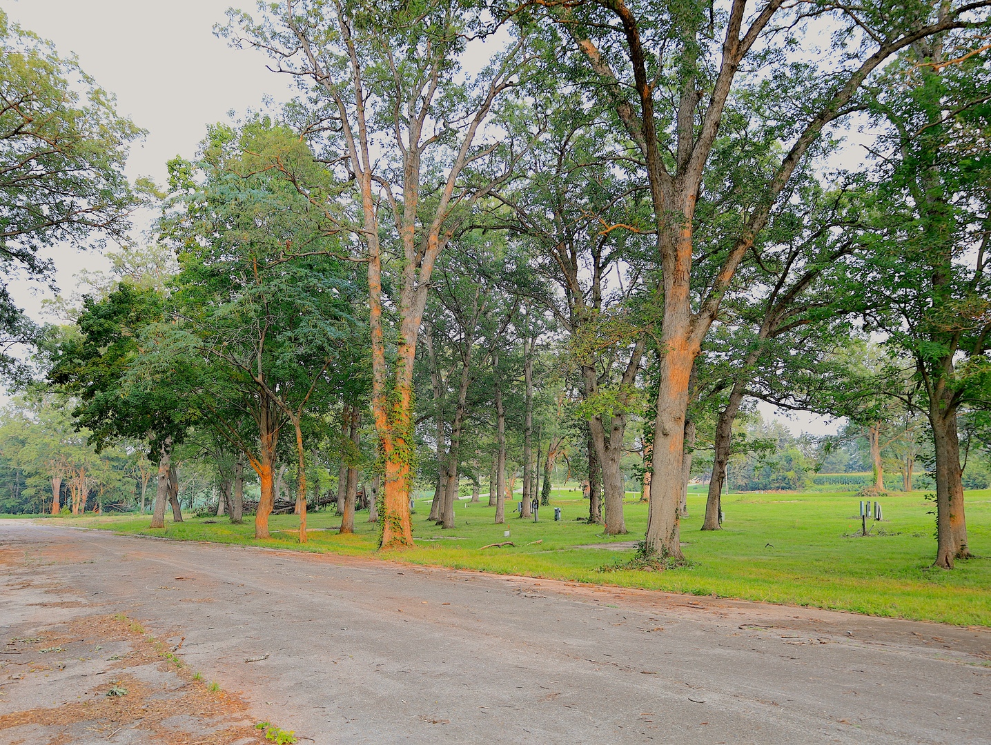 4500 E. River Road, Ridott, IL 61067