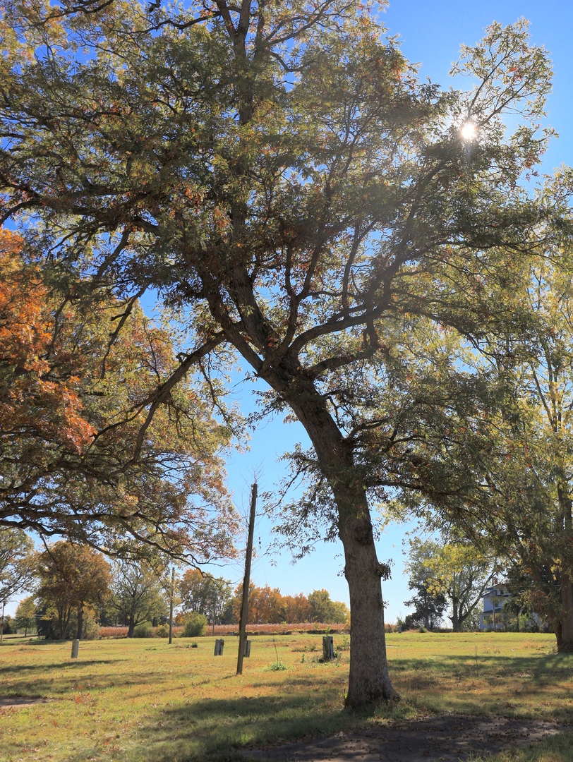 4500 E. River Road, Ridott, IL 61067