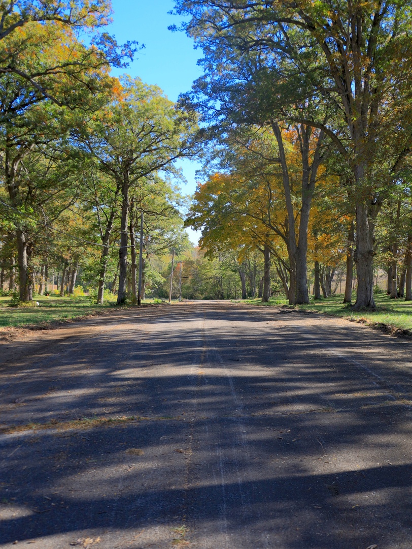 4500 E. River Road, Ridott, IL 61067