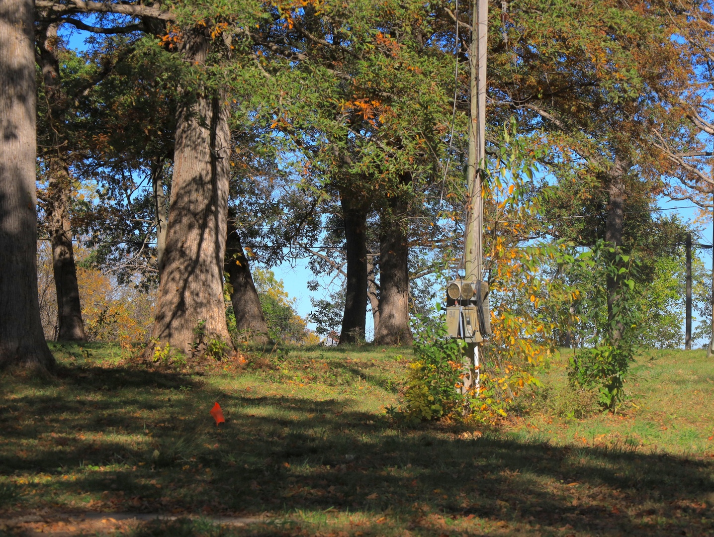 4500 E. River Road, Ridott, IL 61067