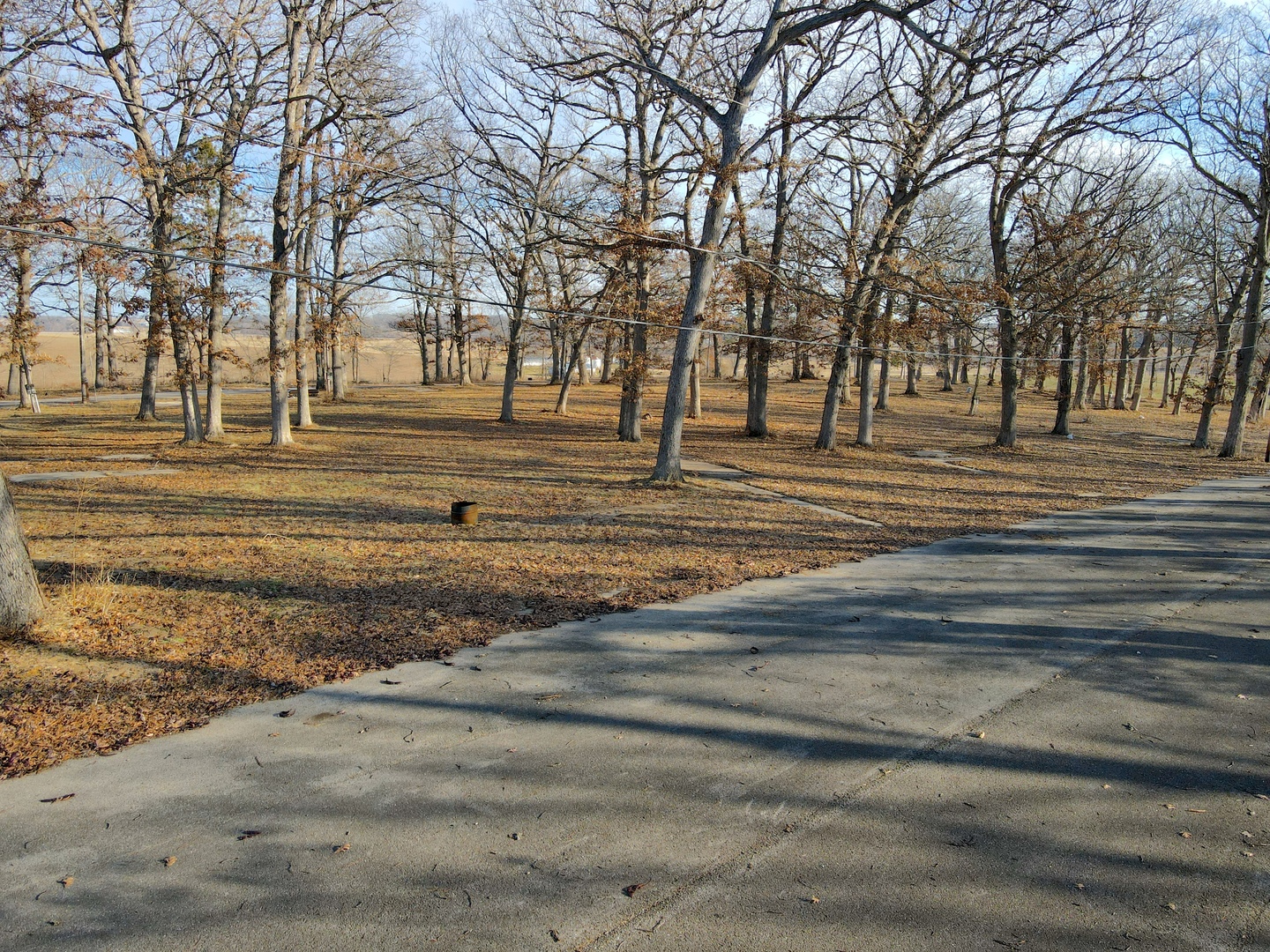 4500 E. River Road, Ridott, IL 61067