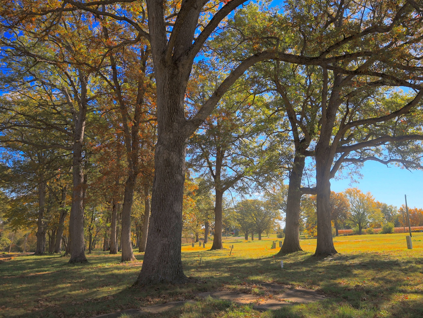 4500 E. River Road, Ridott, IL 61067