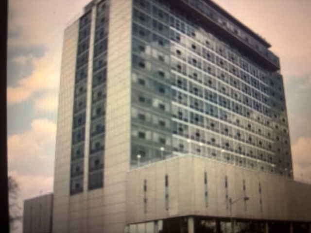 7234 W North Avenue #810, Elmwood Park, IL 60707
