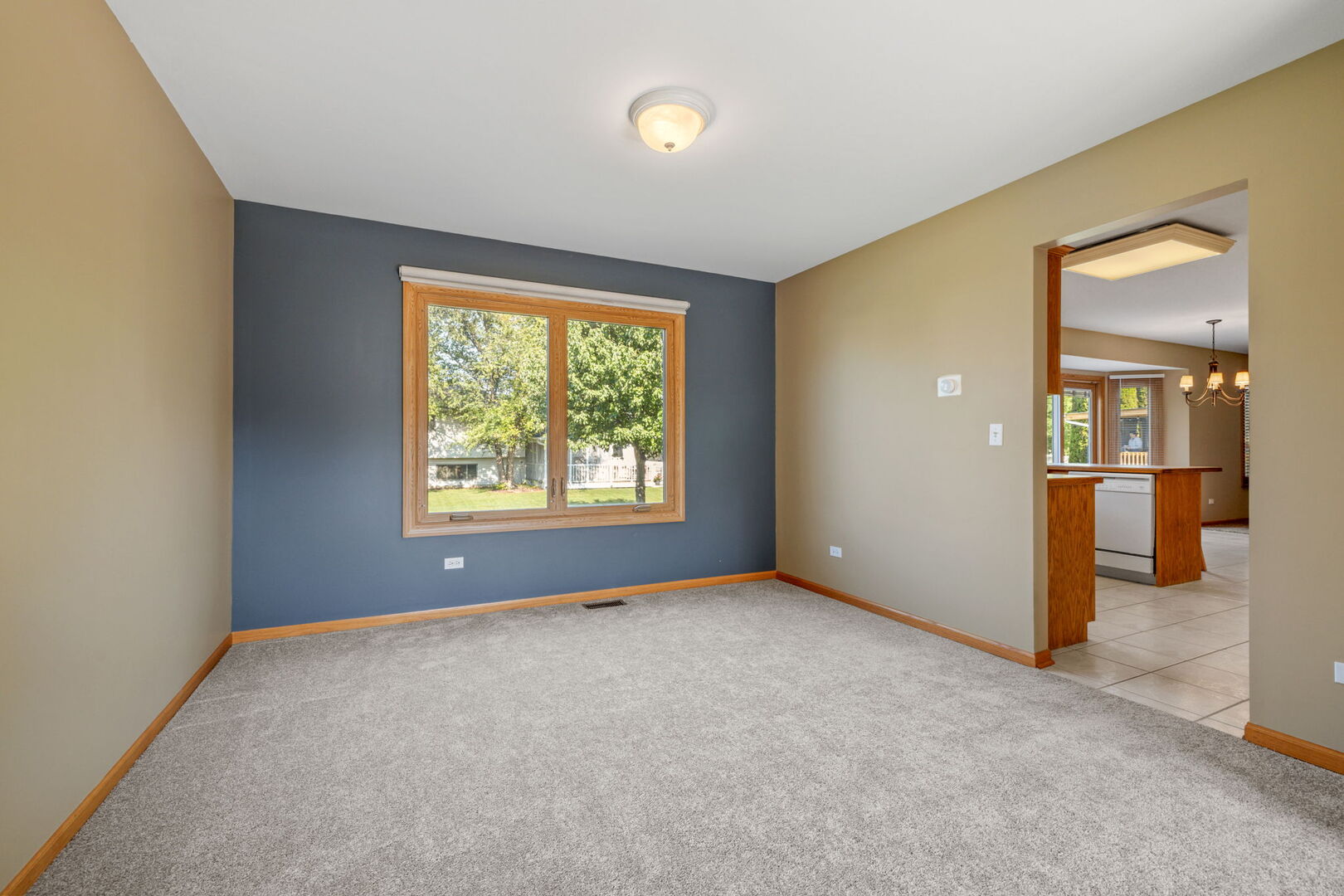 641 Downing Street, New Lenox, IL 60451
