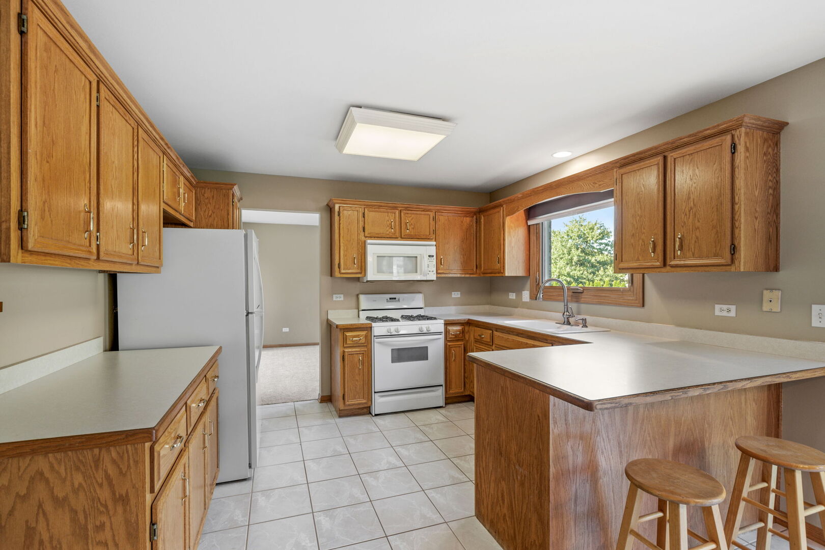 641 Downing Street, New Lenox, IL 60451