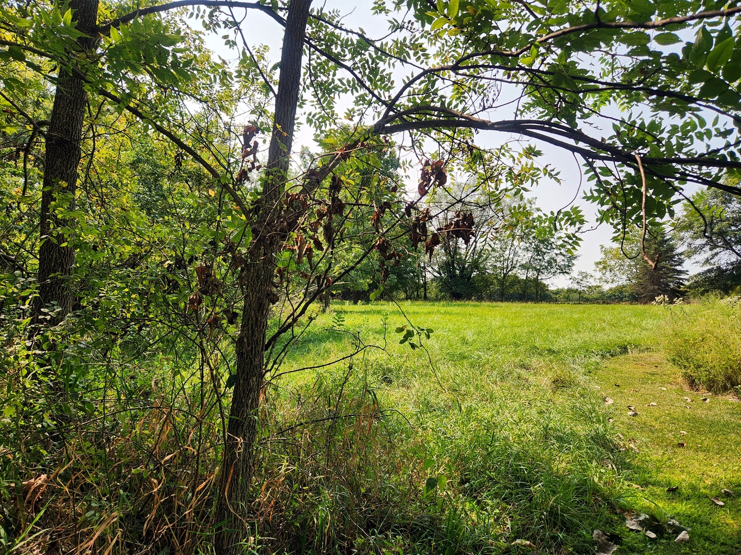 Lot 615 Brookside Drive, Varna, IL 61375