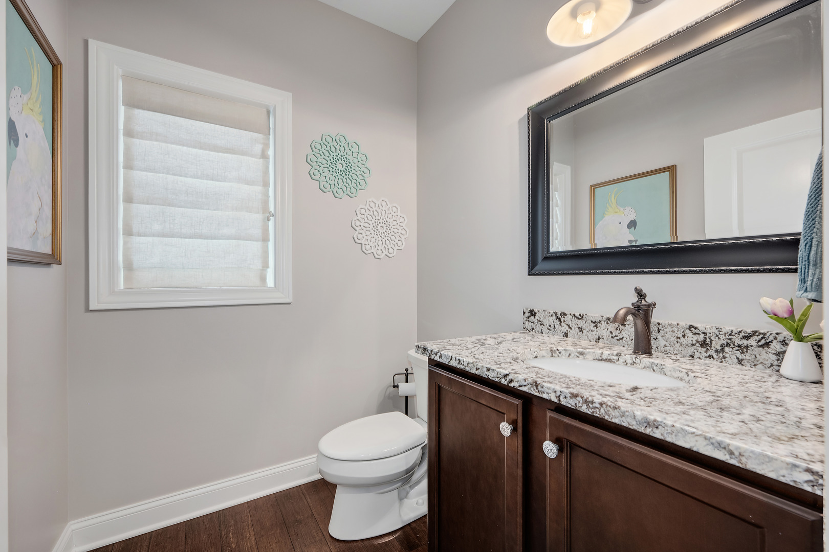 4117 Sterling Road, Downers Grove, IL 60515