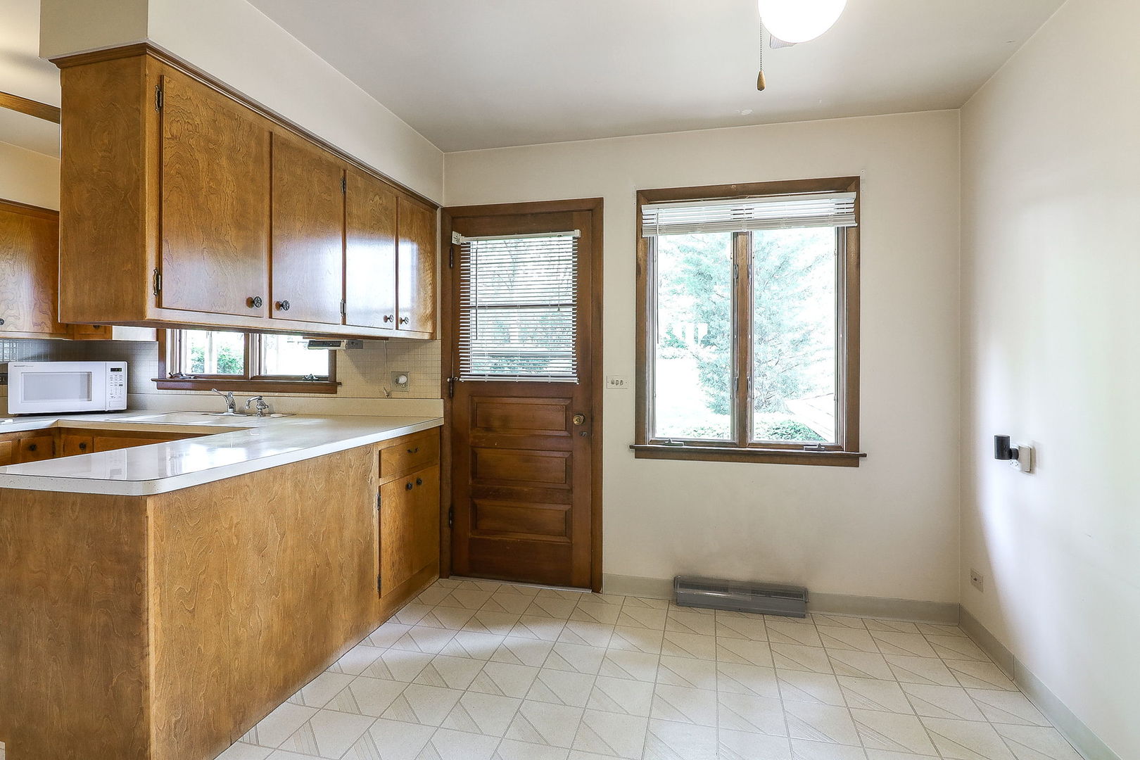 1131 Blanchard Street, Downers Grove, IL 60516