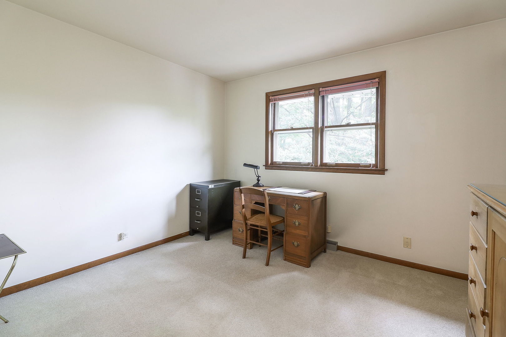 1131 Blanchard Street, Downers Grove, IL 60516