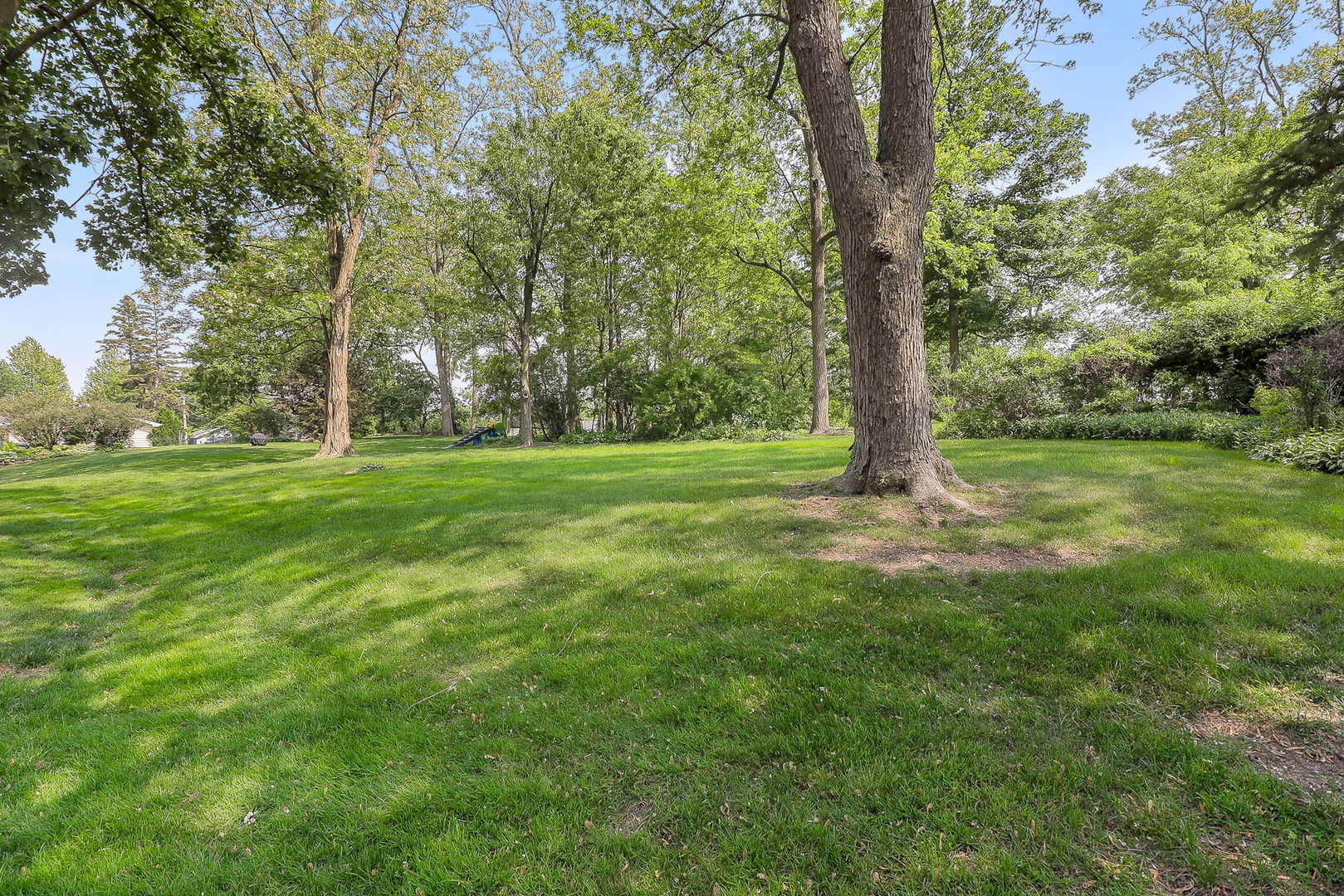 1131 Blanchard Street, Downers Grove, IL 60516