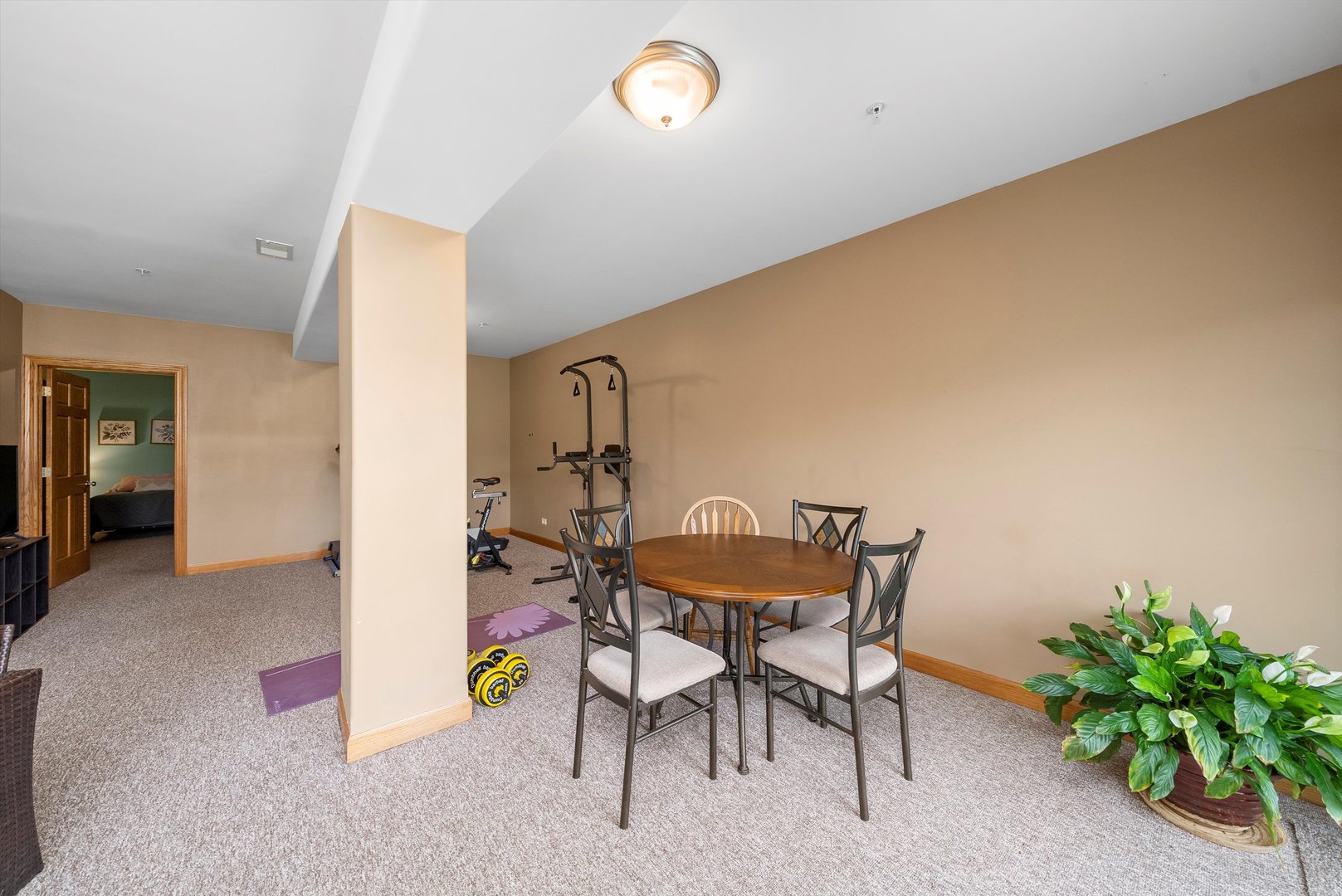 21341 Windy Hill Drive #1, Frankfort, IL 60423