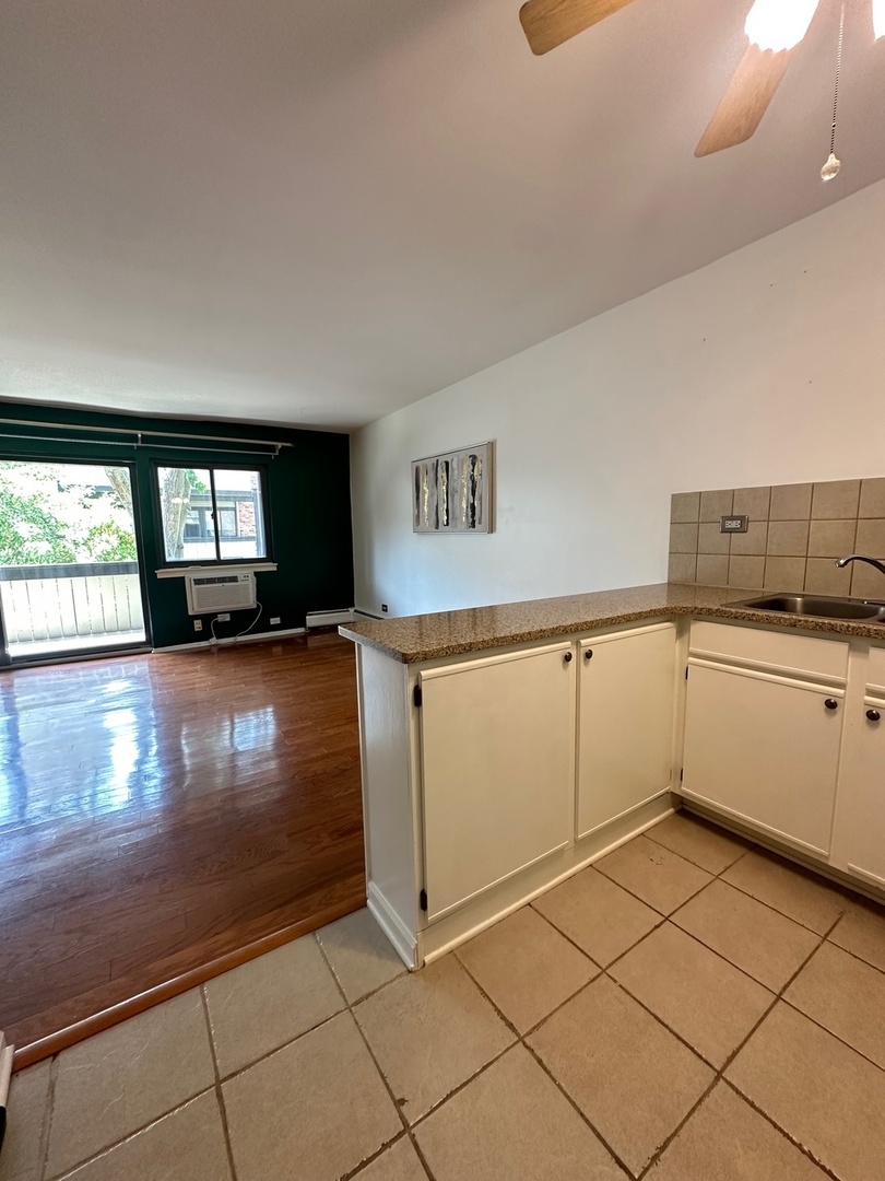 1813 Hemlock Place #209, Schaumburg, IL 60173