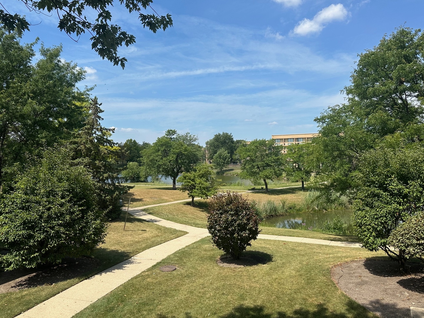 1813 Hemlock Place #209, Schaumburg, IL 60173
