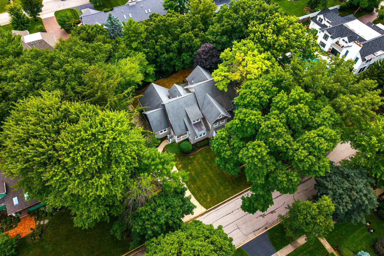 803 Dow Avenue, Geneva, IL 60134