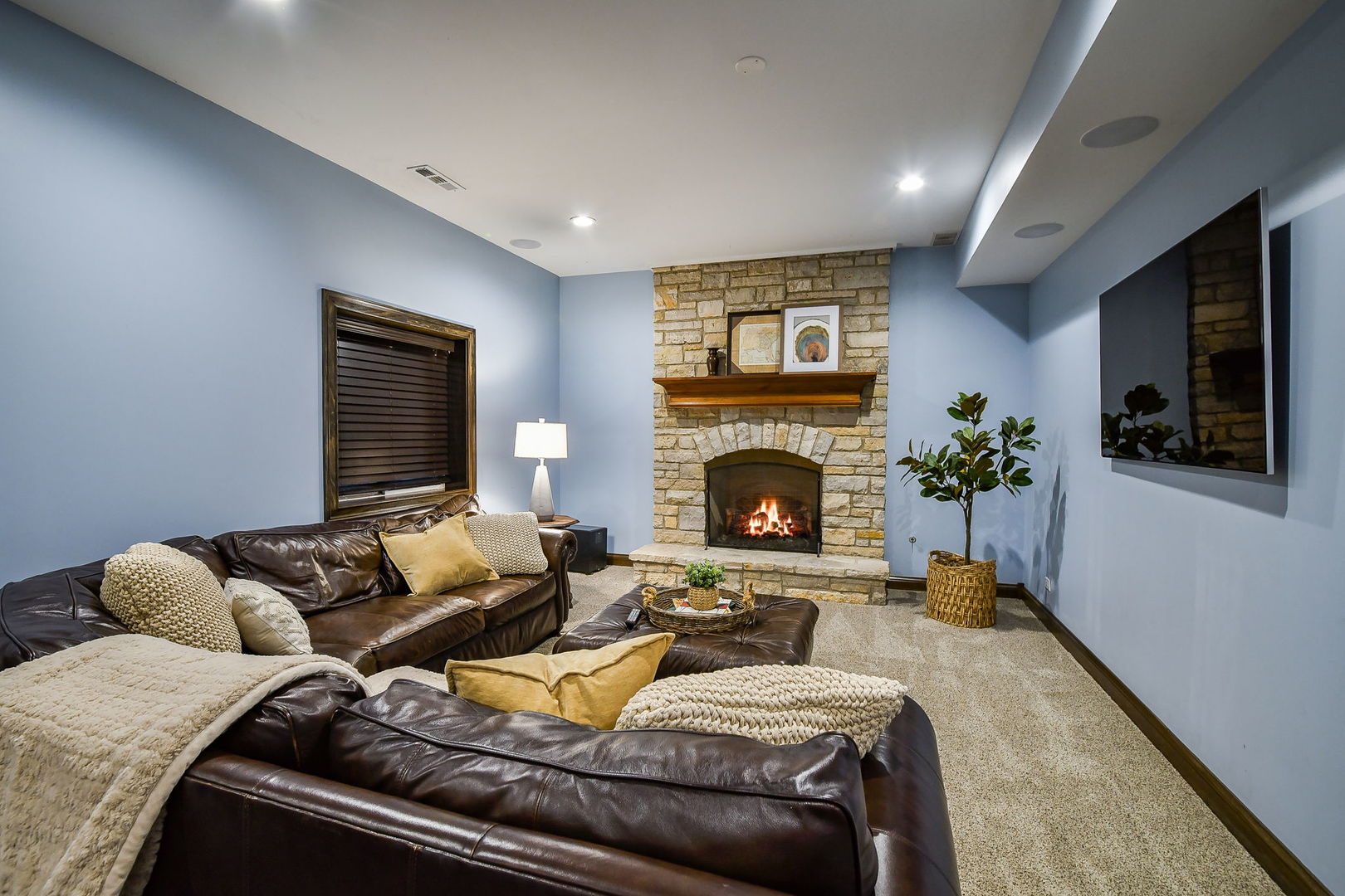 803 Dow Avenue, Geneva, IL 60134
