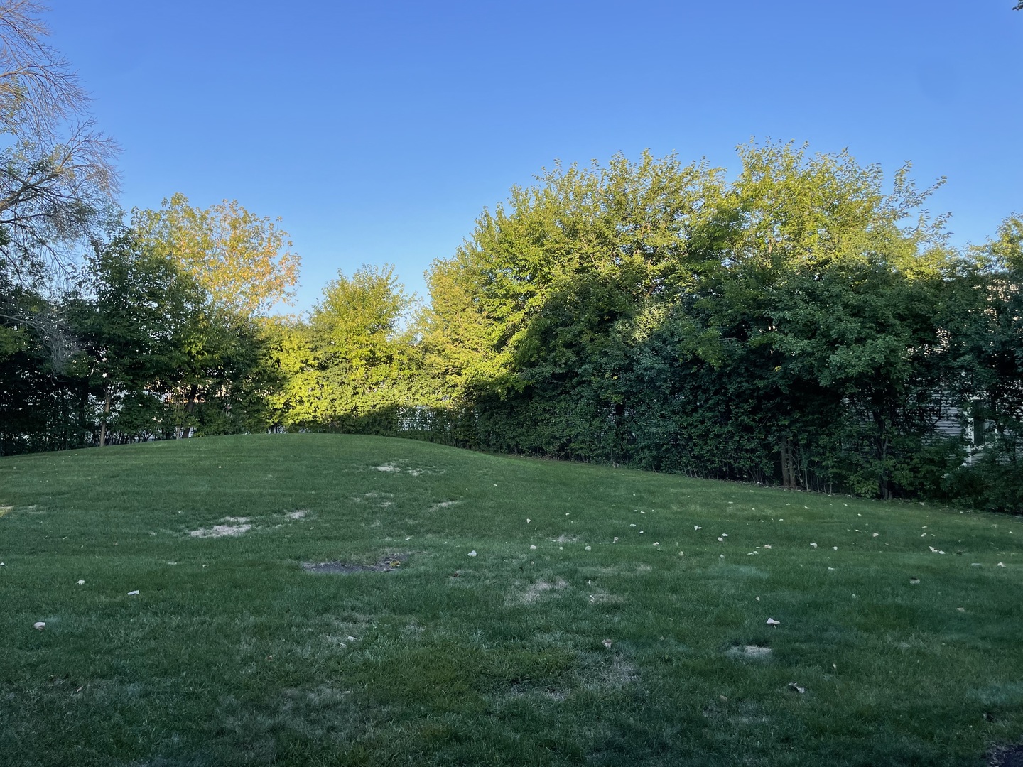 2263 N Enlund Drive #1, Palatine, IL 60074