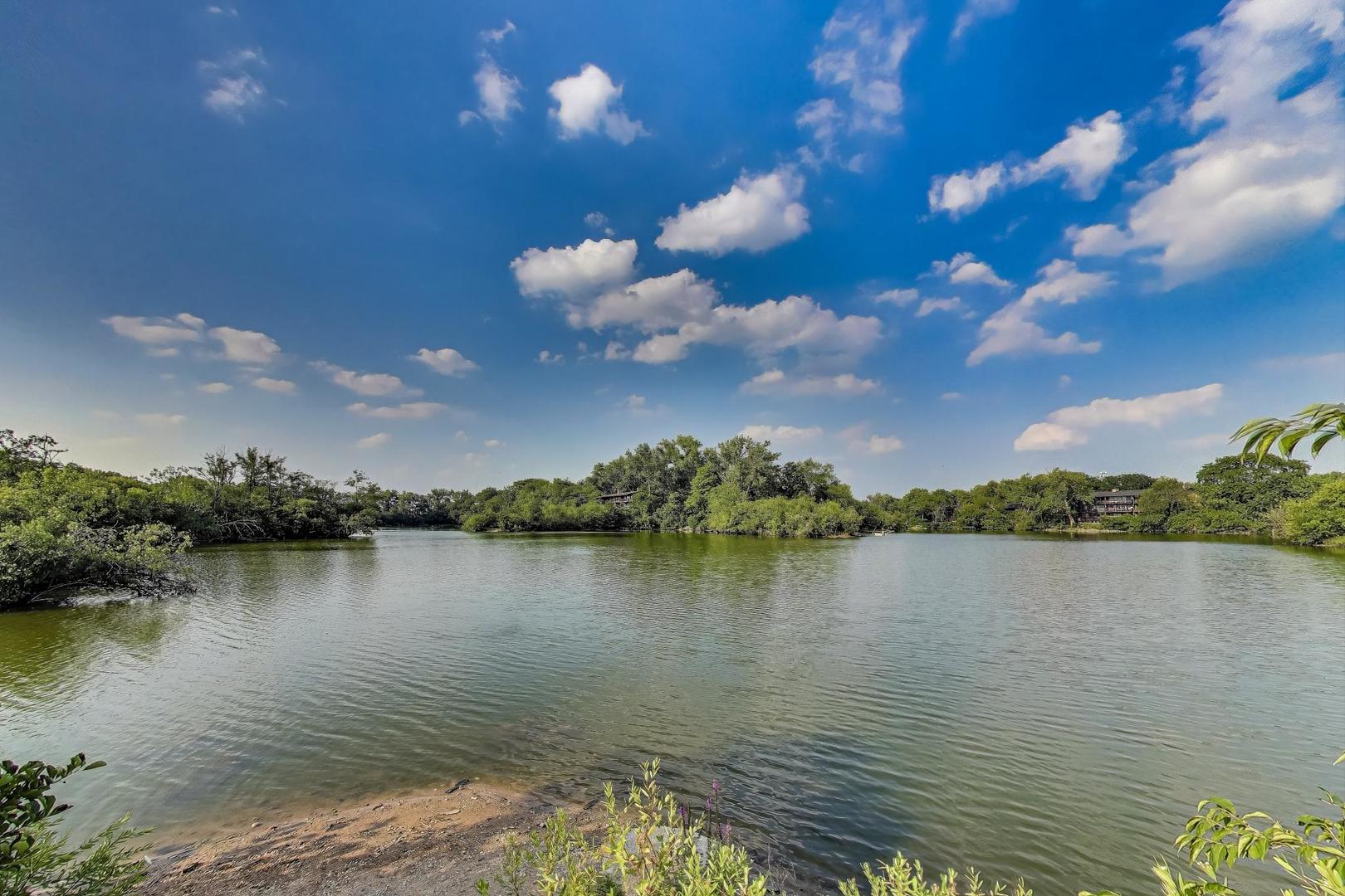 5800 Oakwood Drive #1F, Lisle, IL 60532
