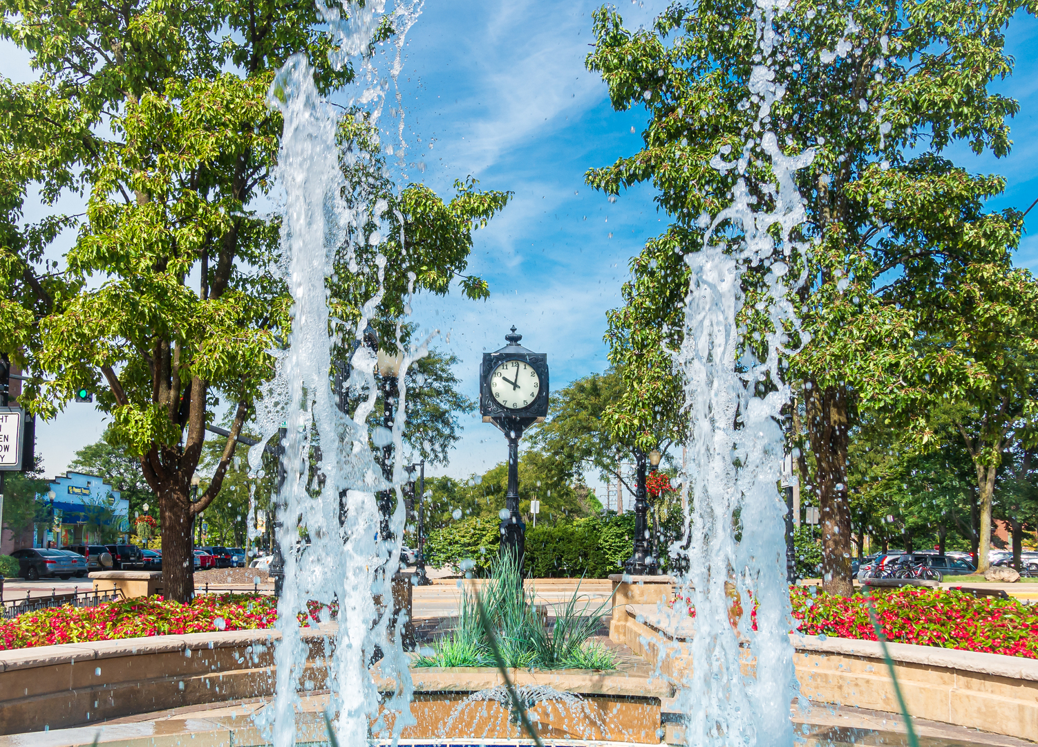 945 Burlington Avenue #203, Downers Grove, IL 60515