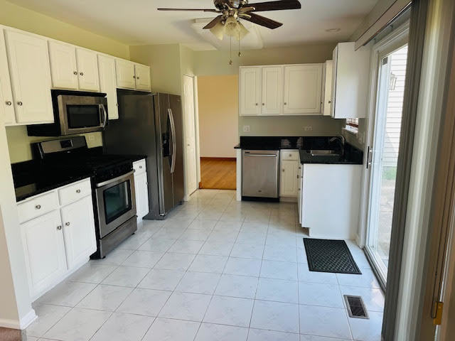 1316 Darnell Drive, Mundelein, IL 60060
