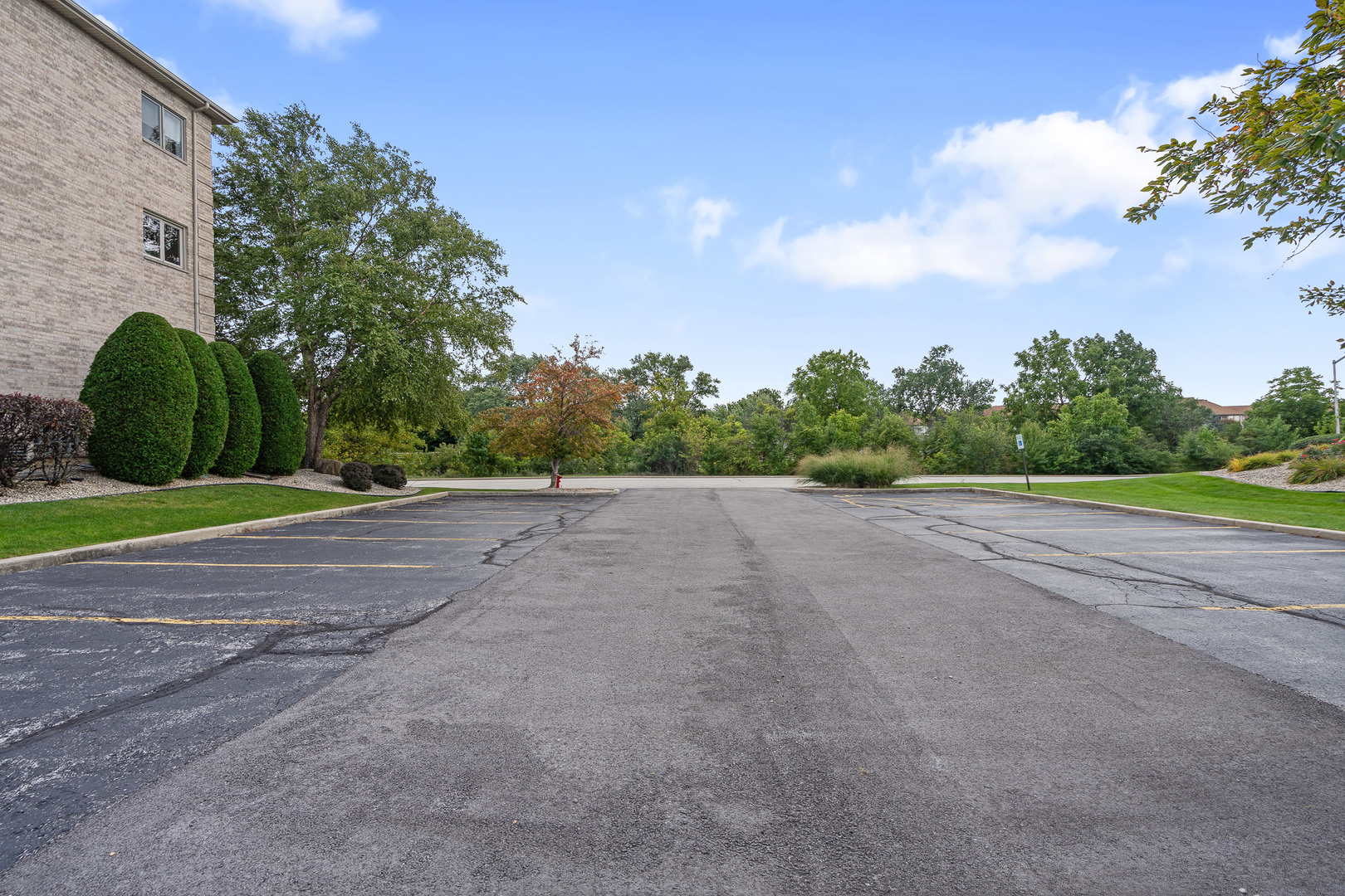 18431 Pine Cone Drive #1, Tinley Park, IL 60477