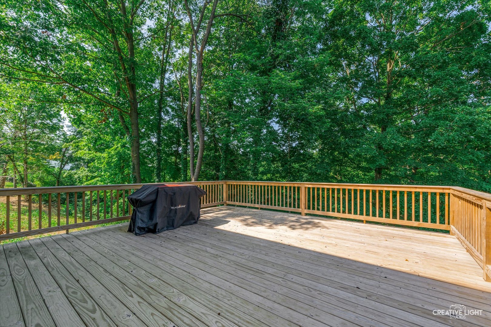 495 Timber Oak Lane, Yorkville, IL 60560