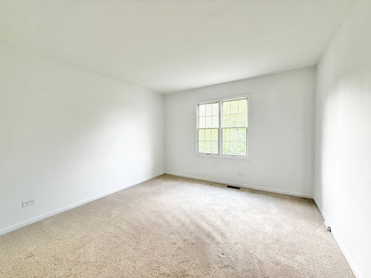 1303 Flowerfield Court, Naperville, IL 60565