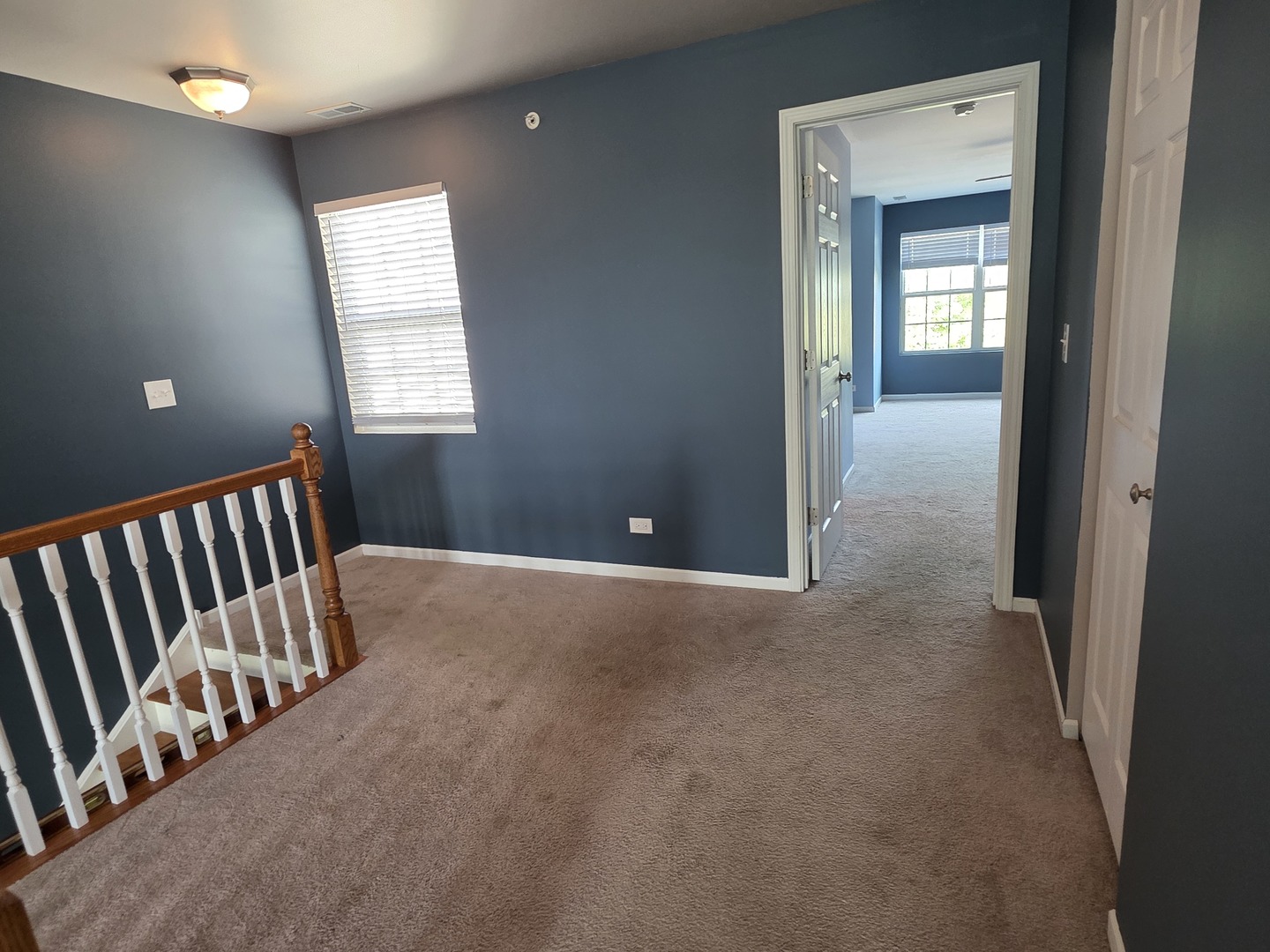 3943 Havenhill Court #3943, Yorkville, IL 60560