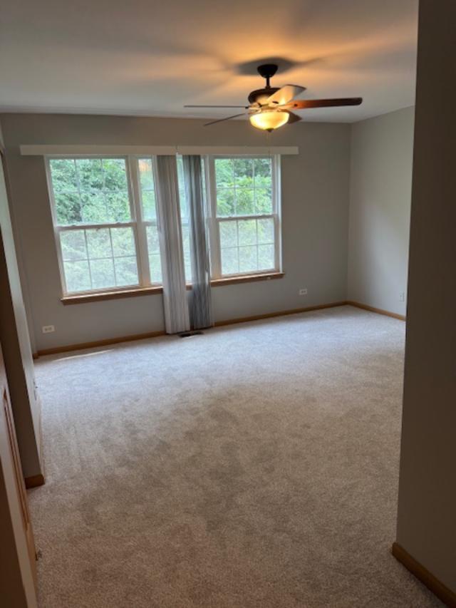 1207 Brookdale Drive, Carpentersville, IL 60110